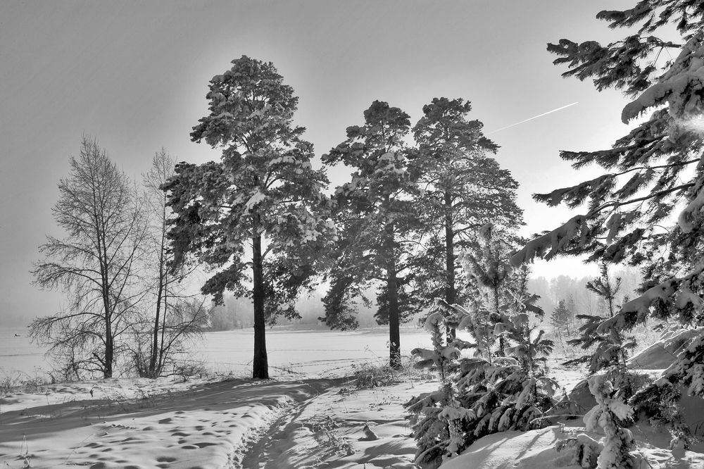 Photograph by Панюшкин Андрей