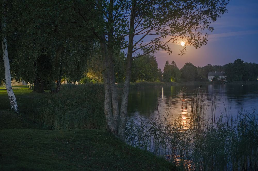 Летняя ночь