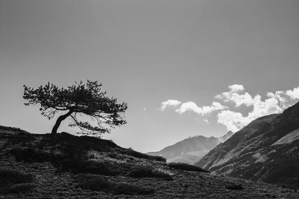 Фотография автора Елена Богданова