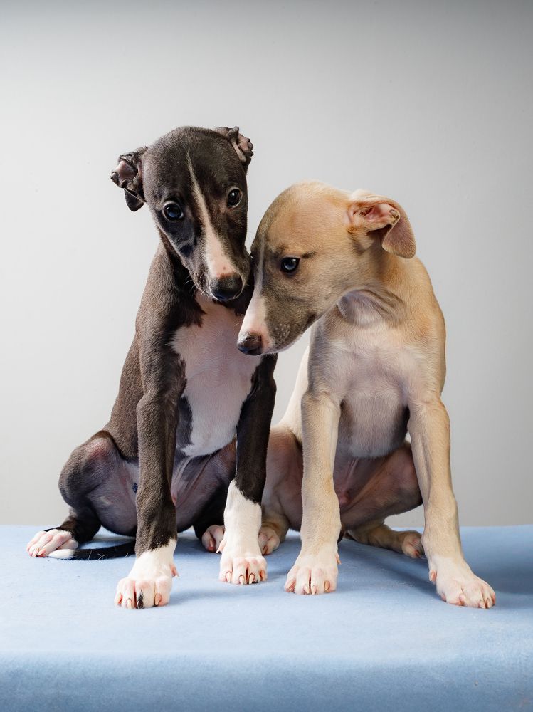 Photograph by Людмила Бандурина