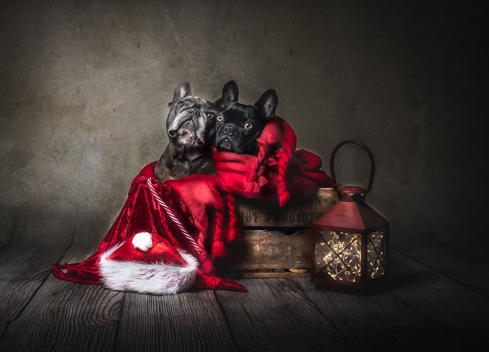 Фотография автора Linda Celis