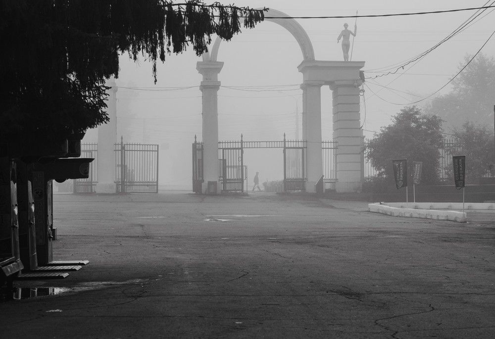 Photograph by Ксения Шилина