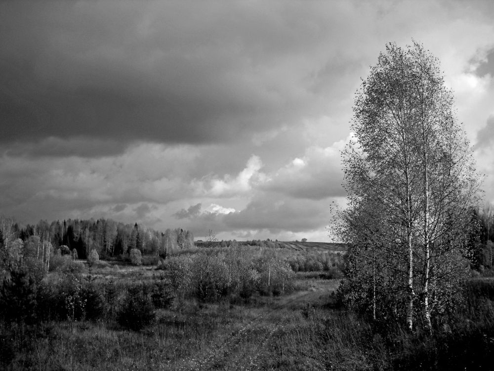 Photograph by Виктор Решетников