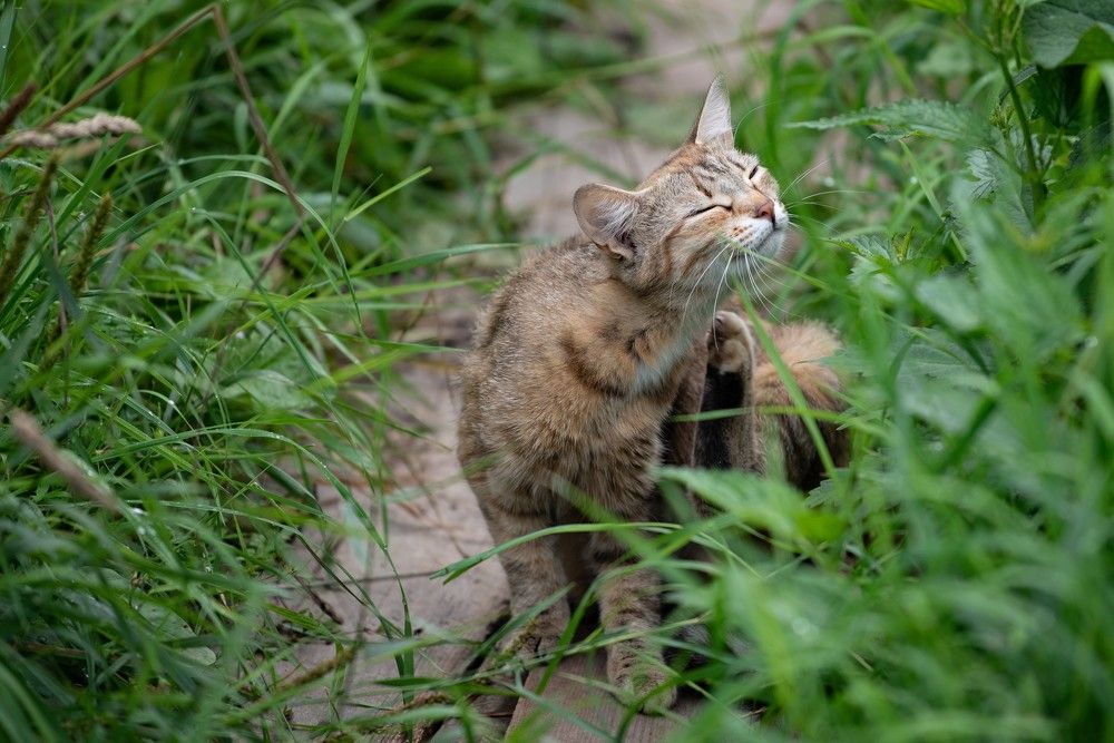 Photograph by Ксения Шилина