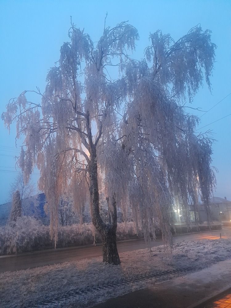 Photograph by Юрий Хадыка