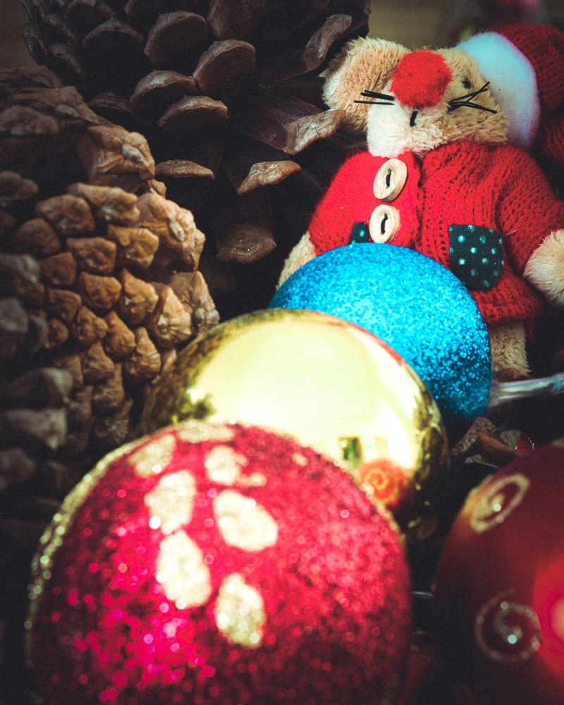 Photograph by CARLOS KIFFER