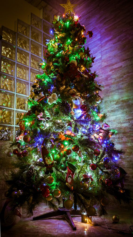 Photograph by CARLOS KIFFER