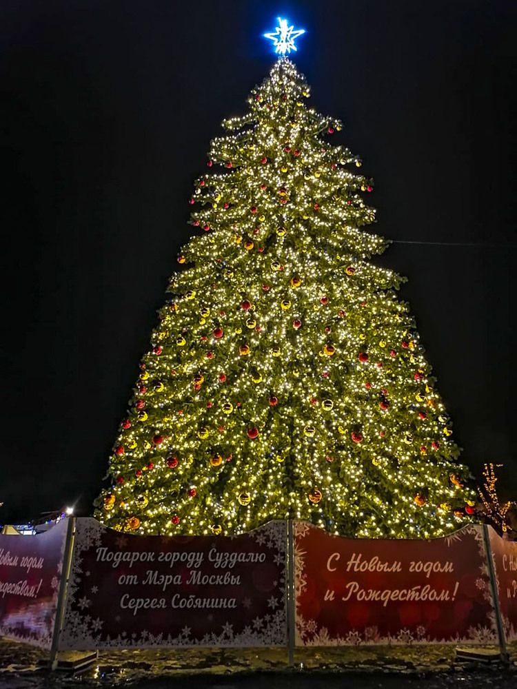 Photograph by Людмила Павловна