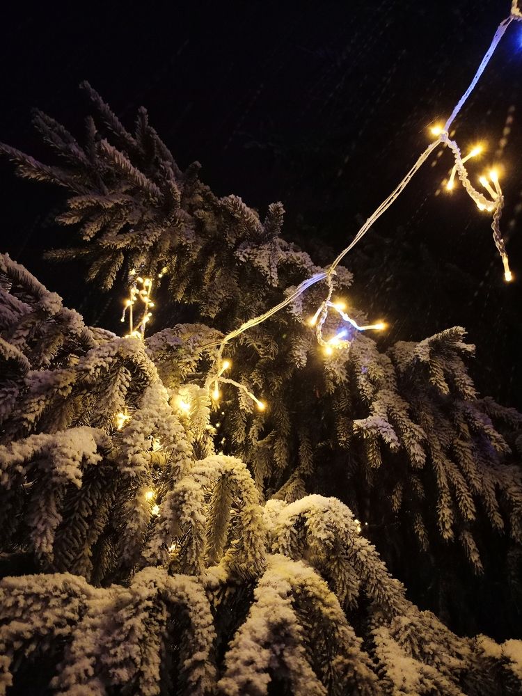 Photograph by Елена Чернякова