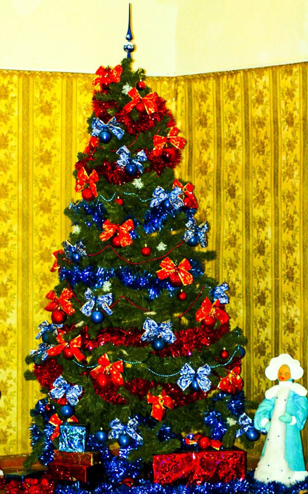 Photograph by Людмила Павловна