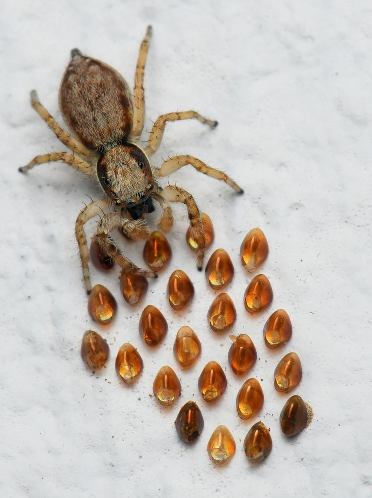 Photograph by George S George