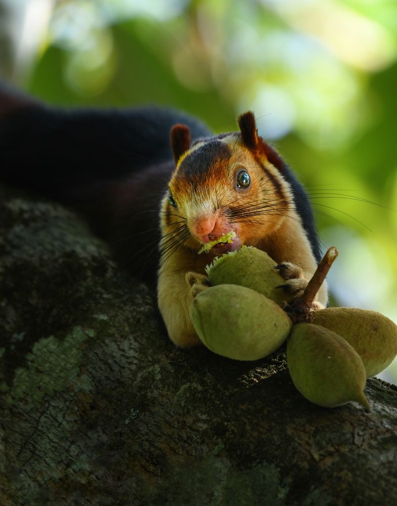 Photograph by George S George