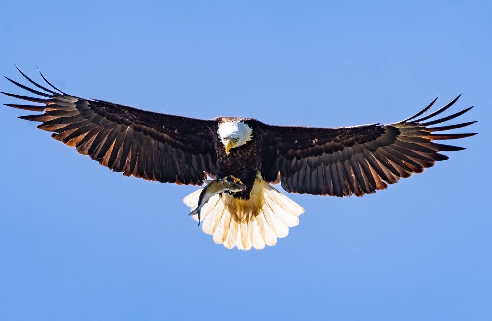 Photograph by Nitin Baste