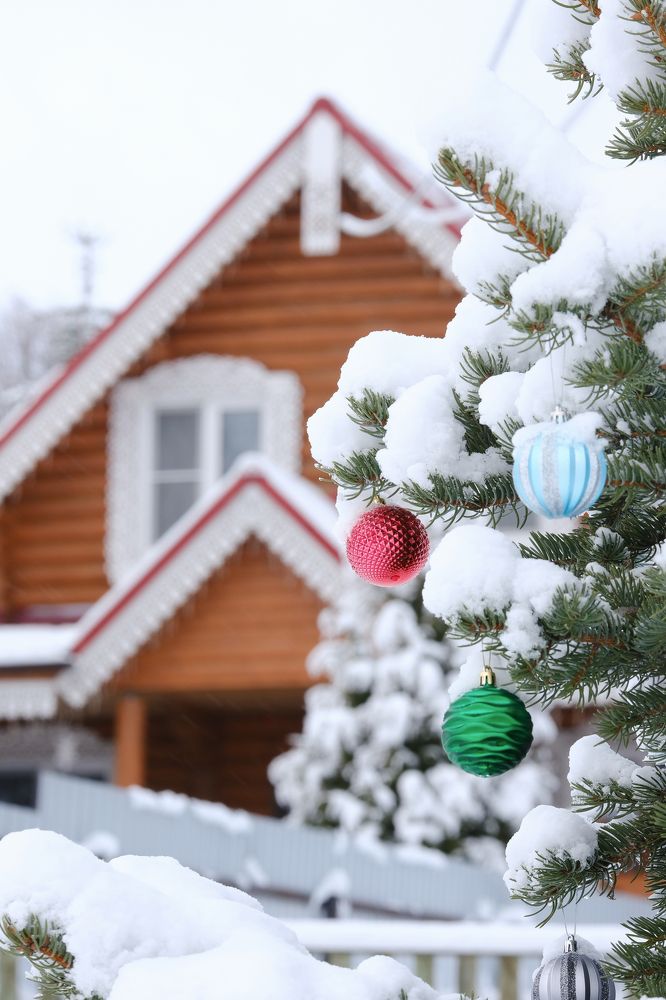 Фотография автора Александр Высоцкий