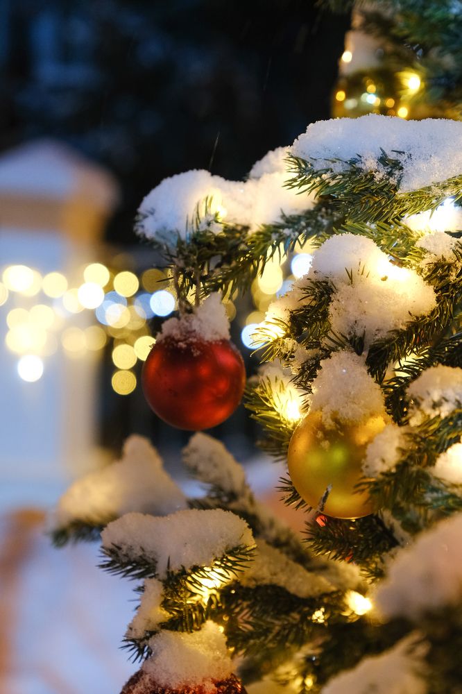 Фотография автора Александр Высоцкий