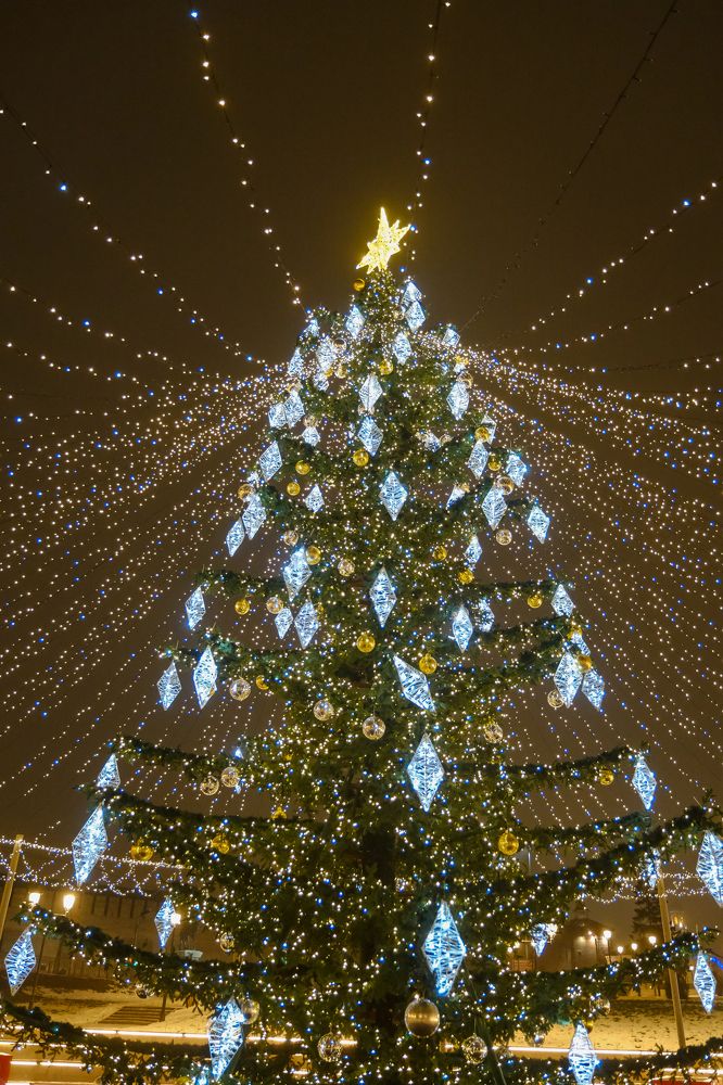 Фотография автора Александр Высоцкий