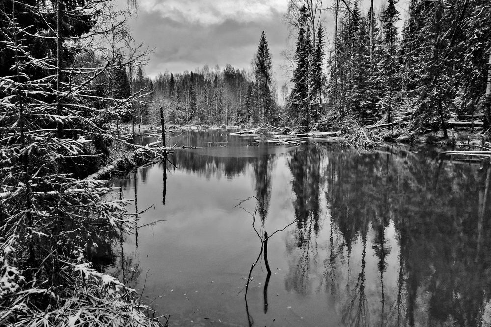 Photograph by Виктор Решетников