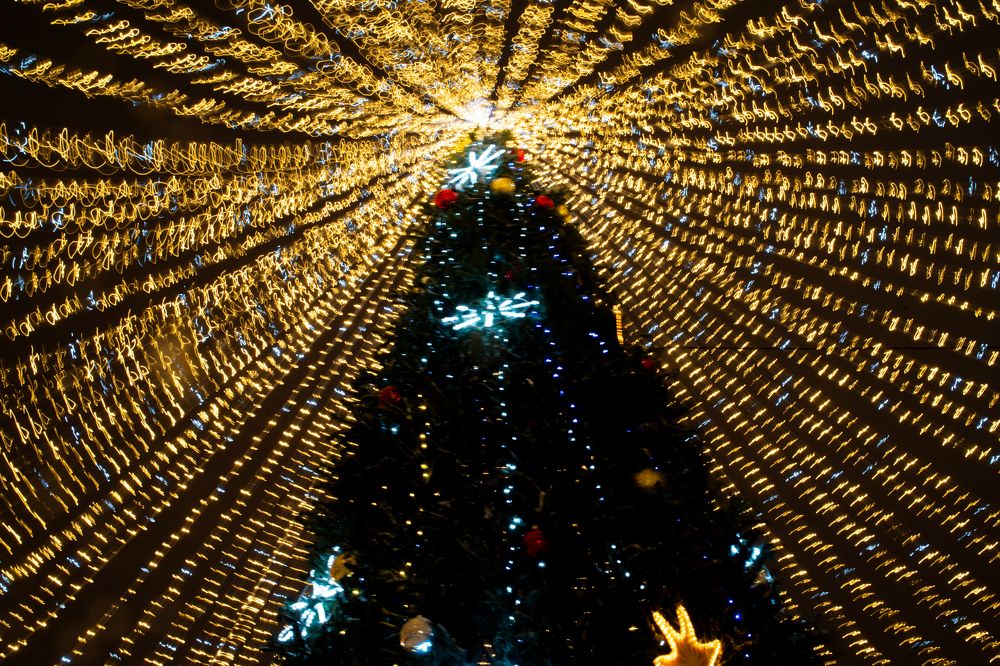 Photograph by Юрий Горбачев