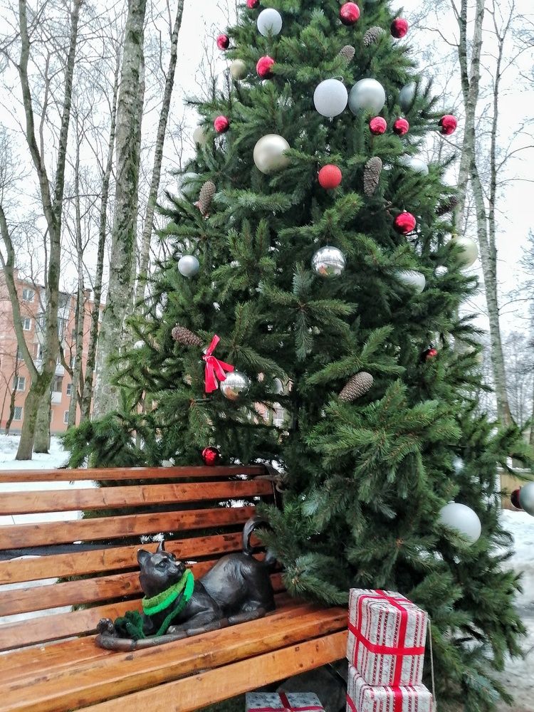 Кот Модест у Новогодней елки