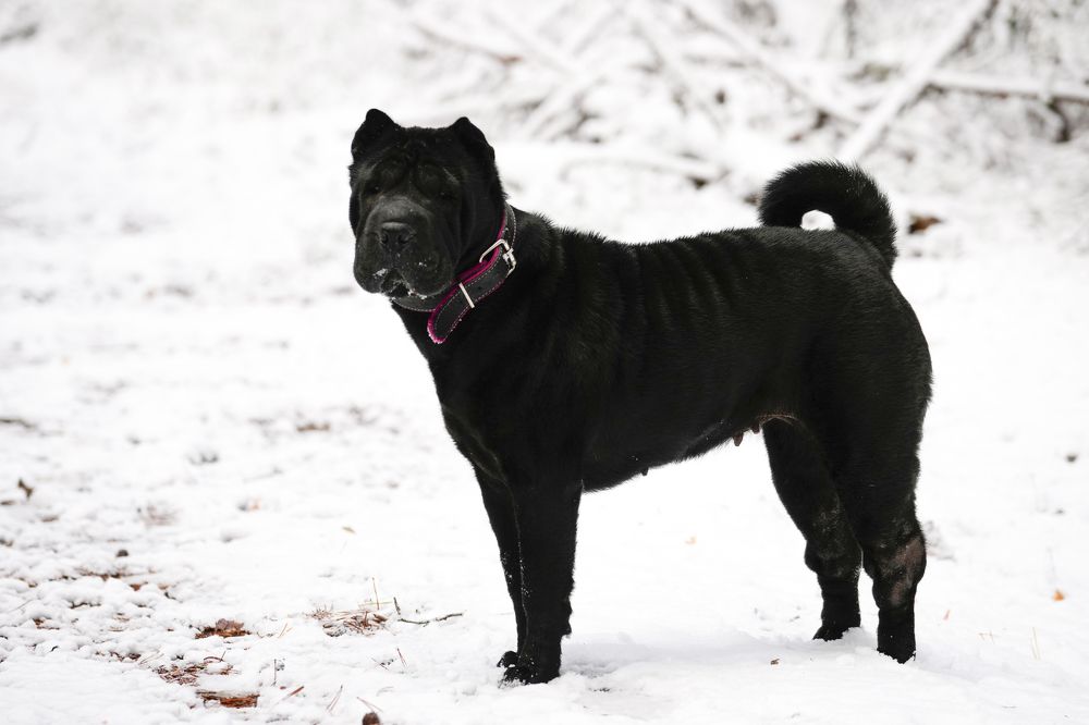 Photograph by Алексей Курносов