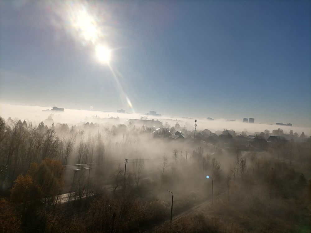Photo #11564755