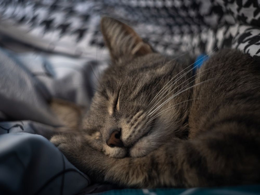 Photograph by Хабаров Сергей