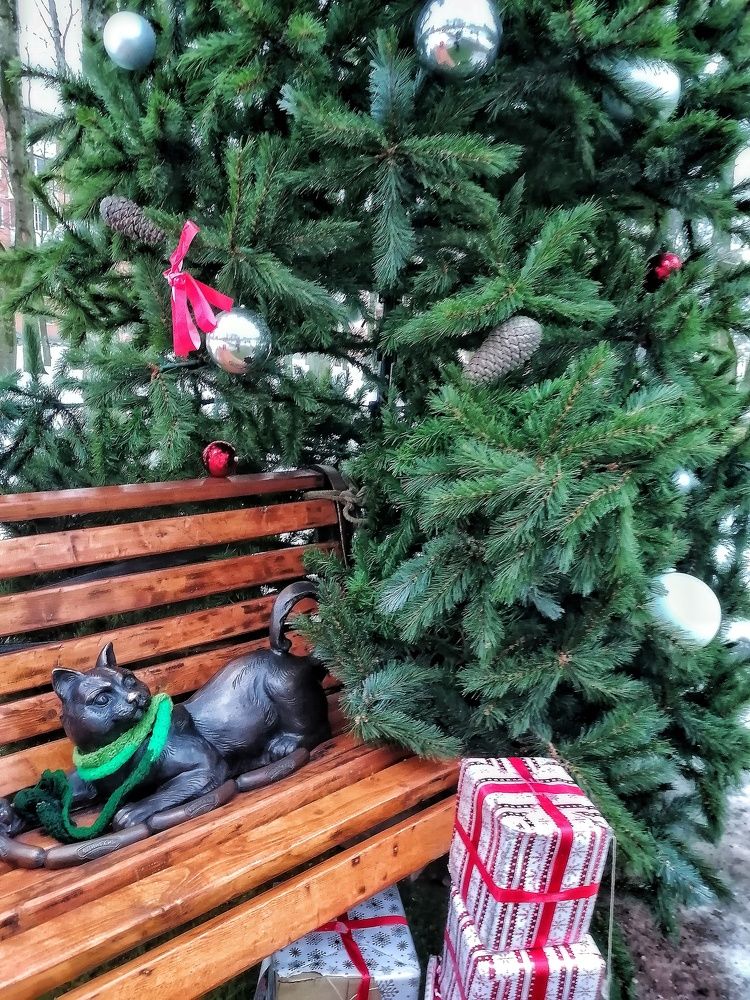 Модест и ёлка