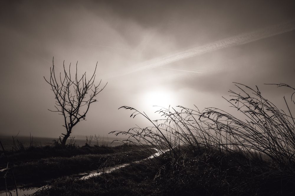 Фотография автора Linda Celis