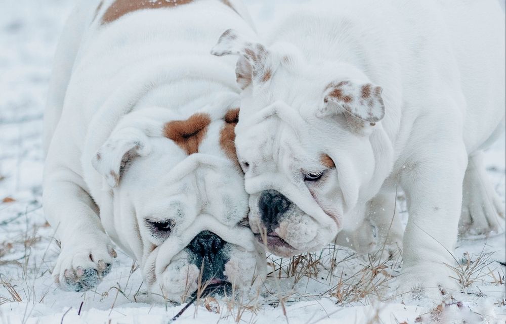 Photograph by Татьяна