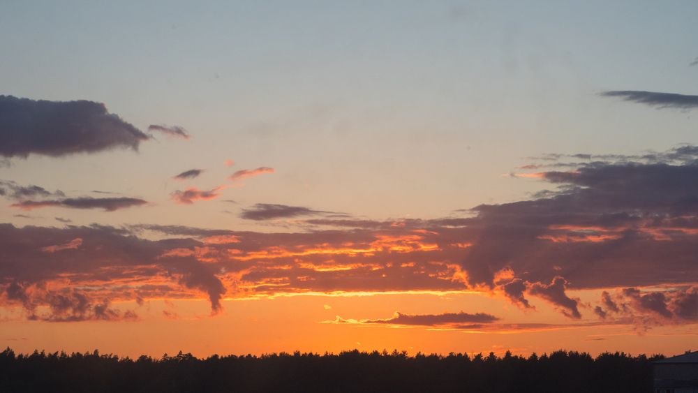 ФОТО ПРОЕКТ ЛЕТНИЕ ПЕЙЗАЖИ