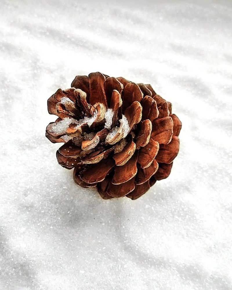 Photograph by Хоменчук Людмила