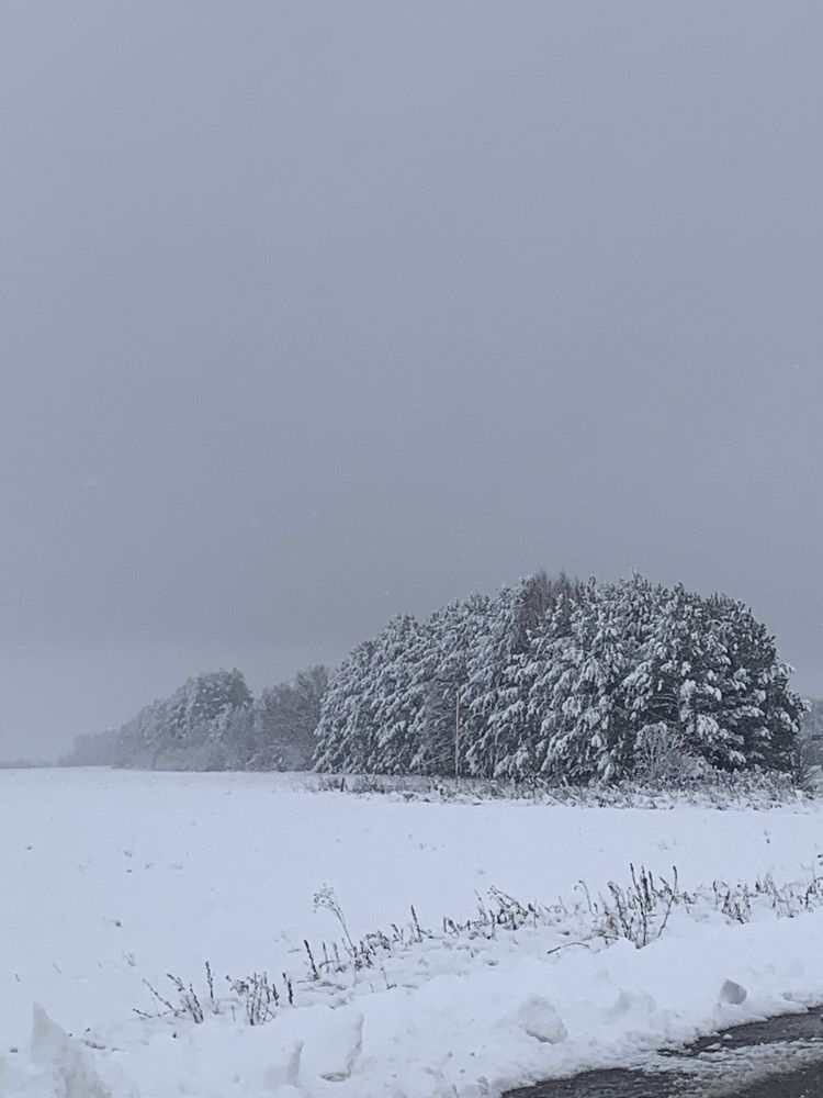 Photograph by Dinar Nigmatullin