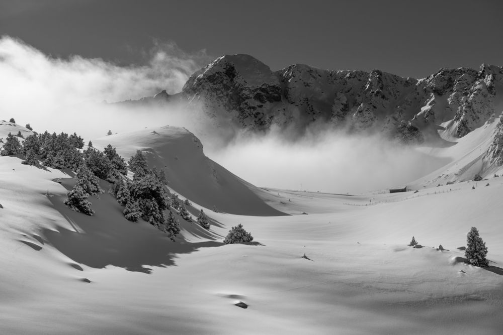 Мизансцена