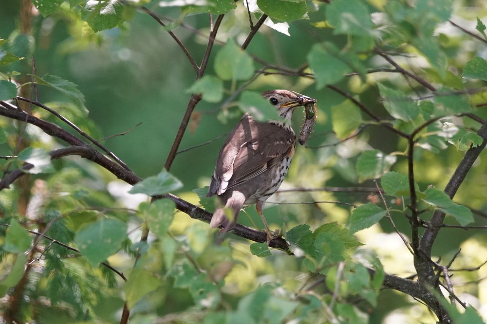 Photograph by Алексей Курносов