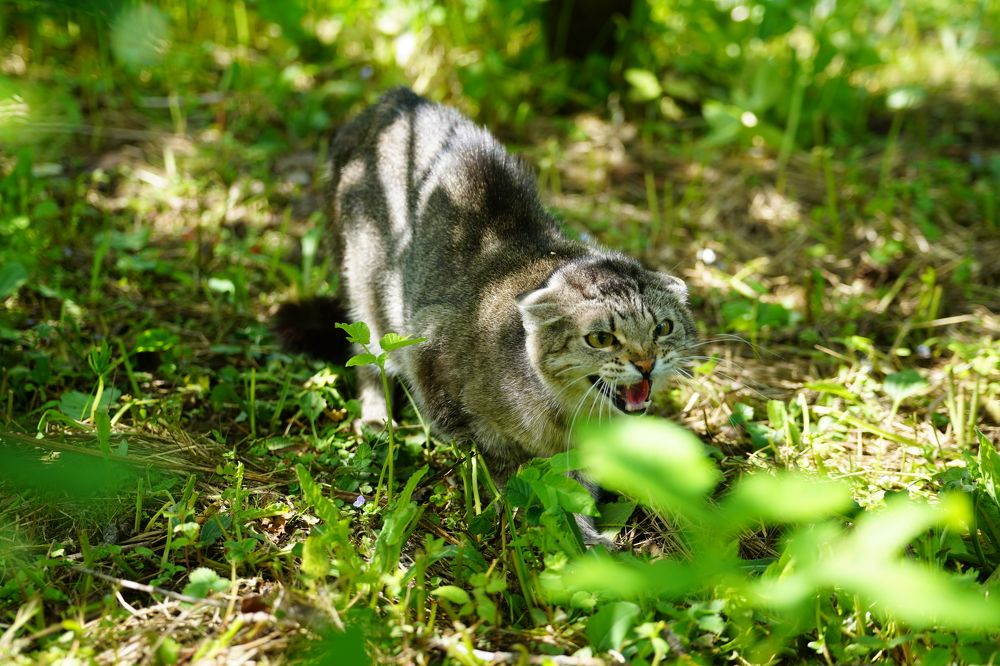 Photograph by Алексей Курносов