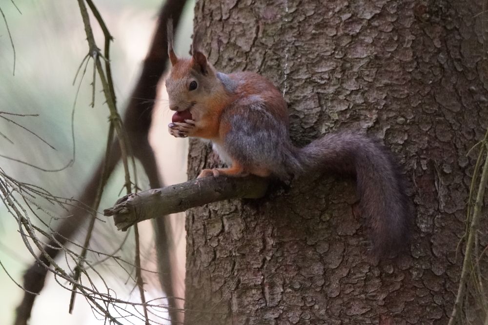Photograph by Алексей Курносов