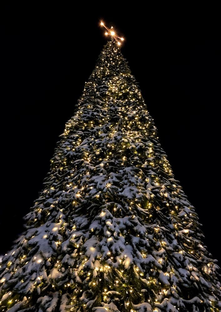 Photograph by Василина