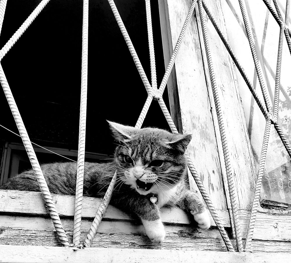 Photograph by Наталья Веряскина