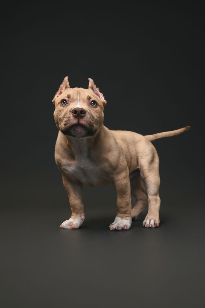 Photograph by Анастасия Жучкова