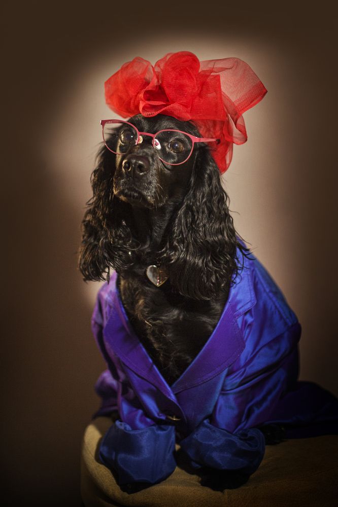 Photograph by Татьяна Луговская