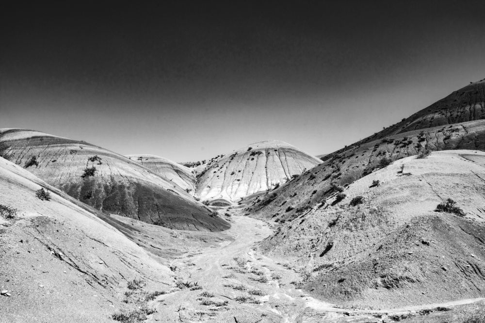 Photograph by Noura Aghdasi