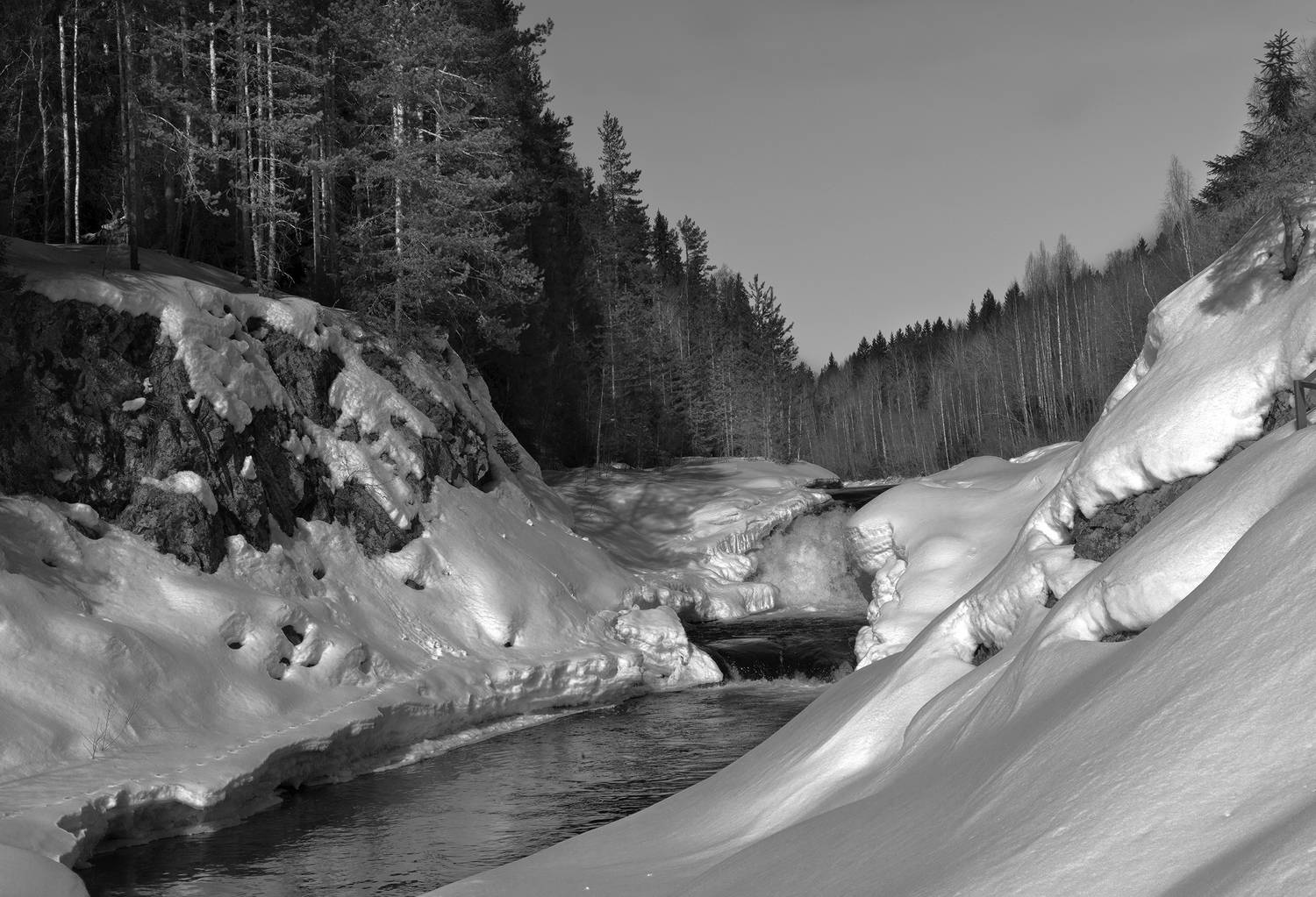 Photo #11564986