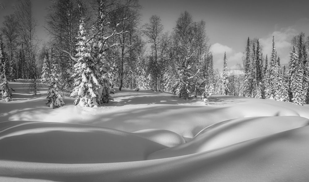 Фотография автора Татьяна Добровольская