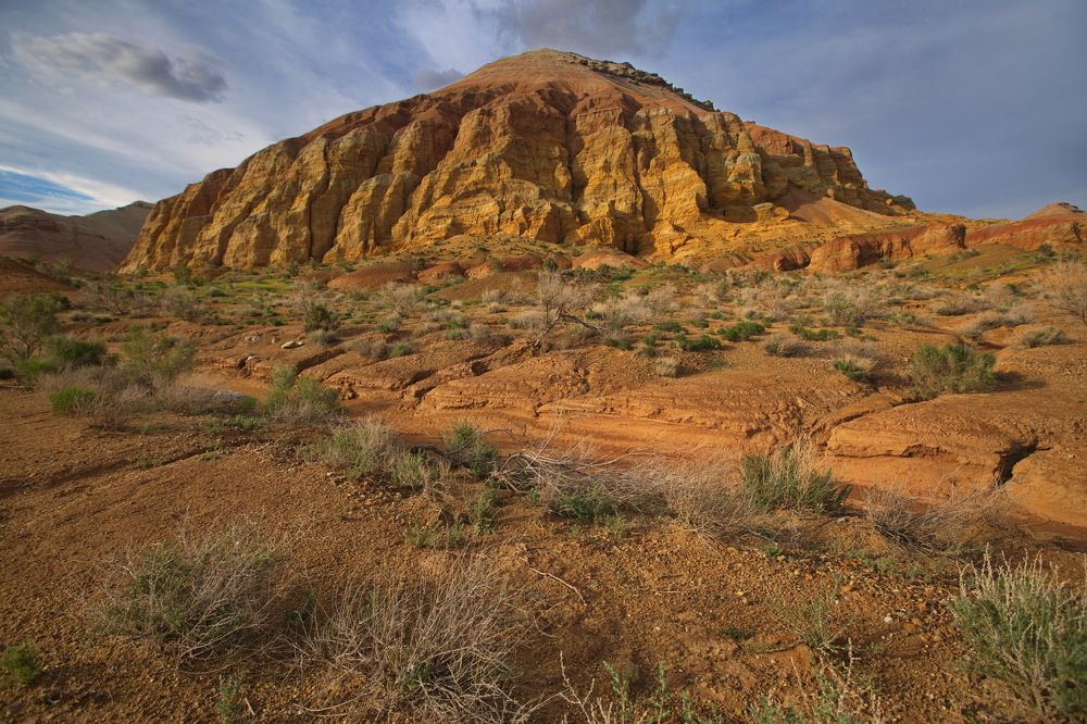 Photograph by Ирина Сушко