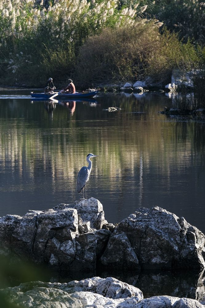 Photograph by Youssef Sabry