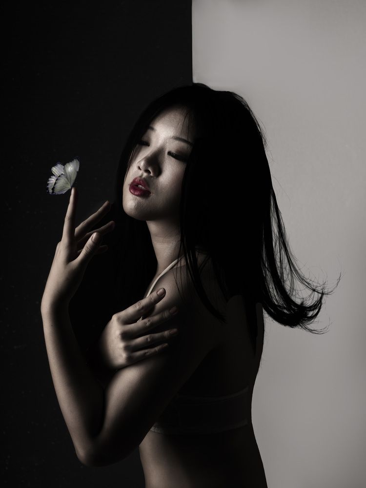 the girl and butterflies