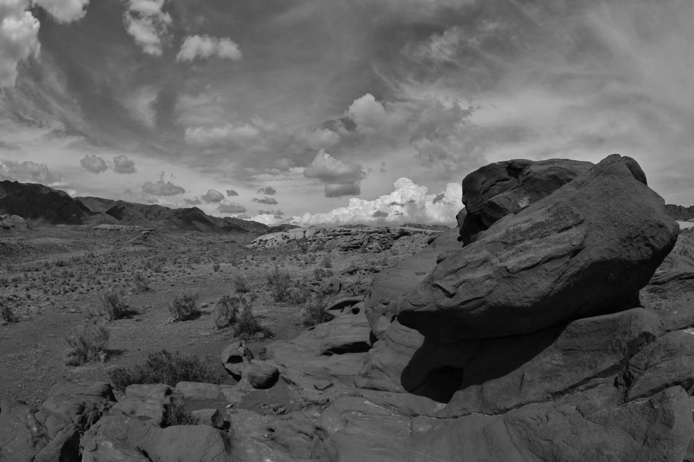 Photograph by Ирина Сушко