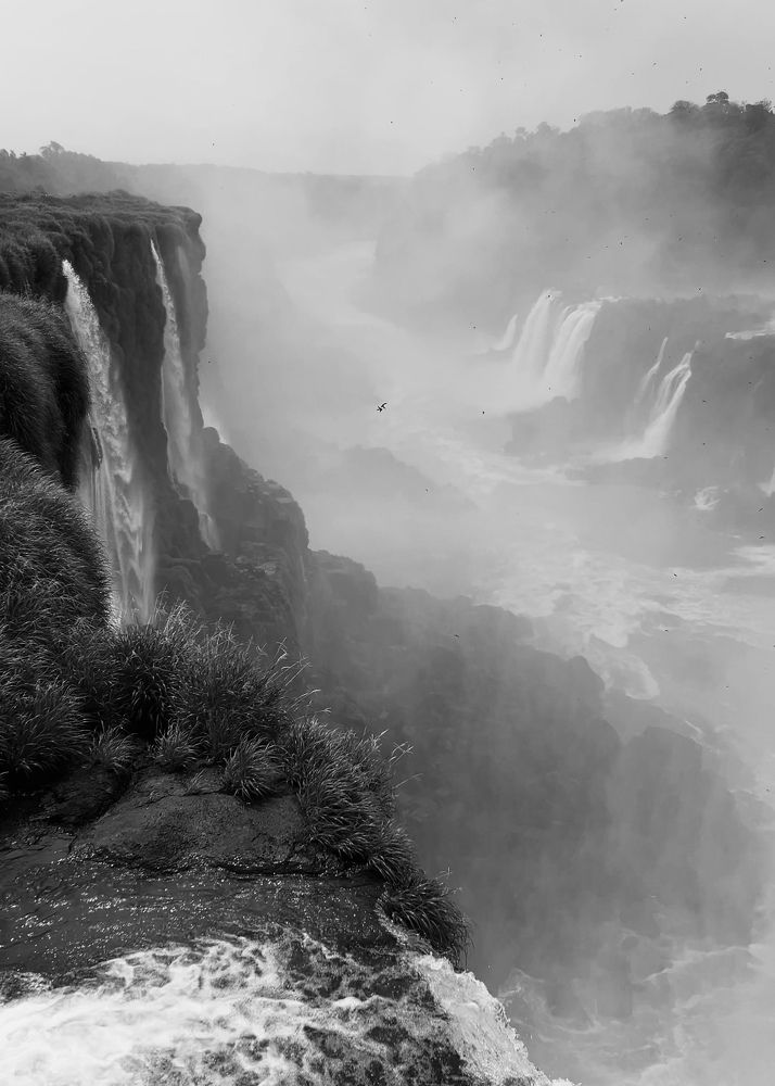 Photograph by Игорь