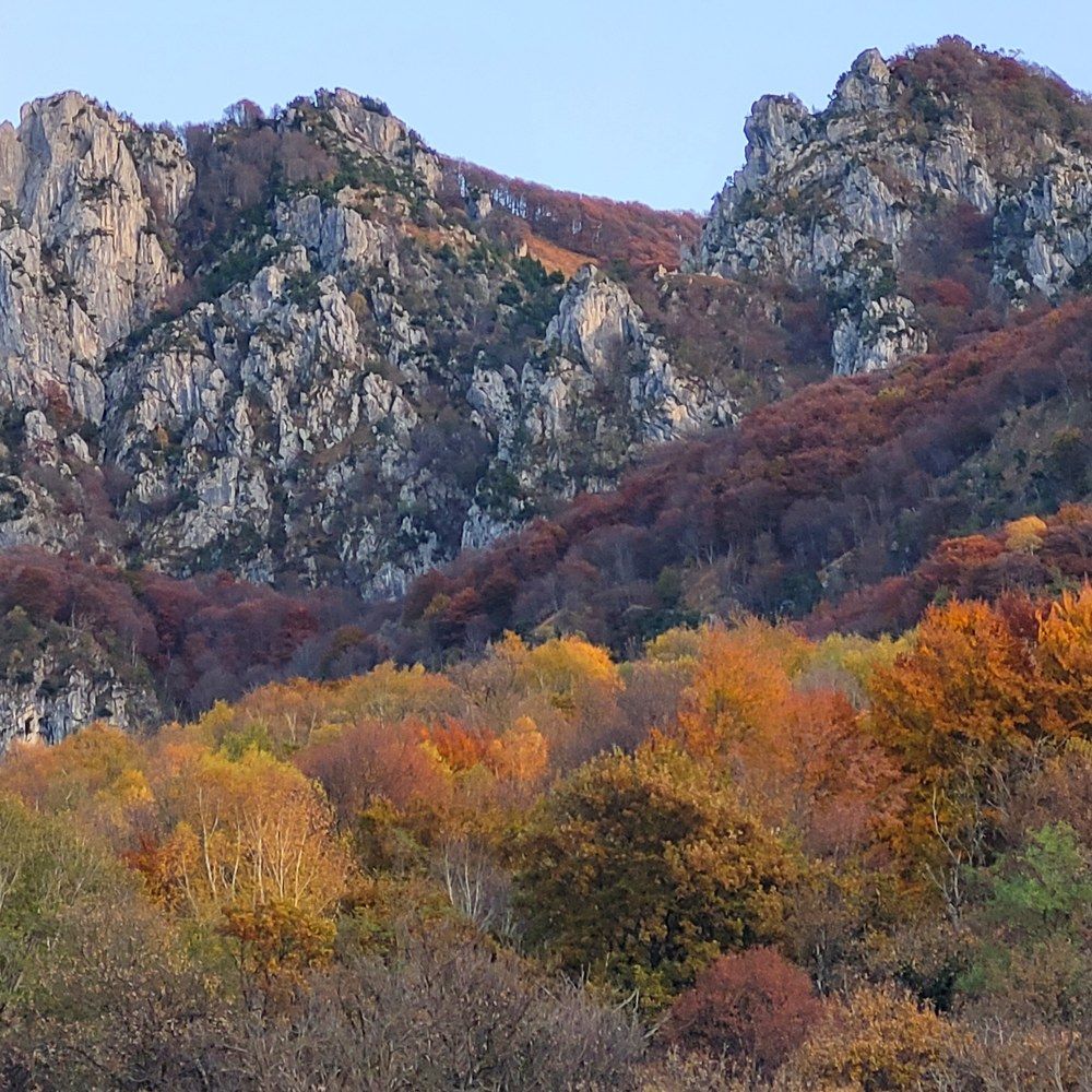 Photograph by Catherine Walter-Prêtre