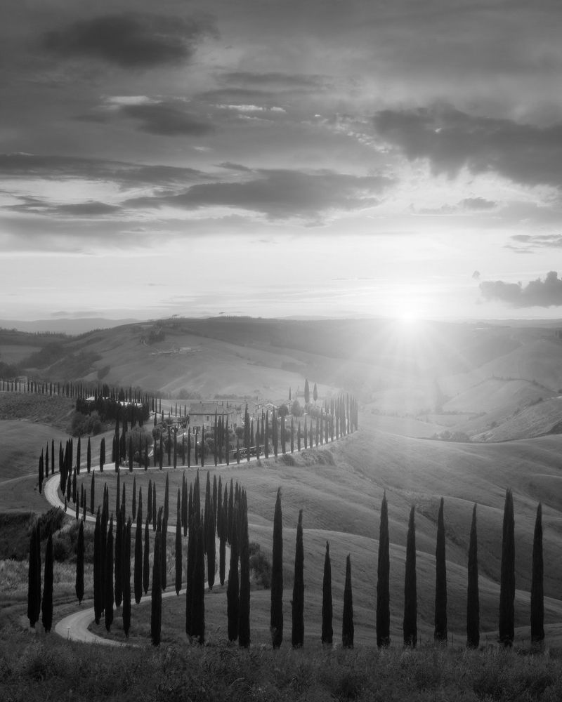 Photograph by Otto Acosta